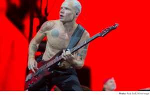 flea